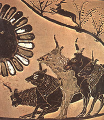 Cattle of the  Sun