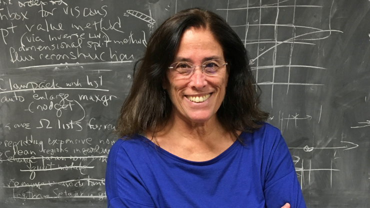 Marsha Berger serves as the 2025 SIAM John von Neumann Prize Lecturer