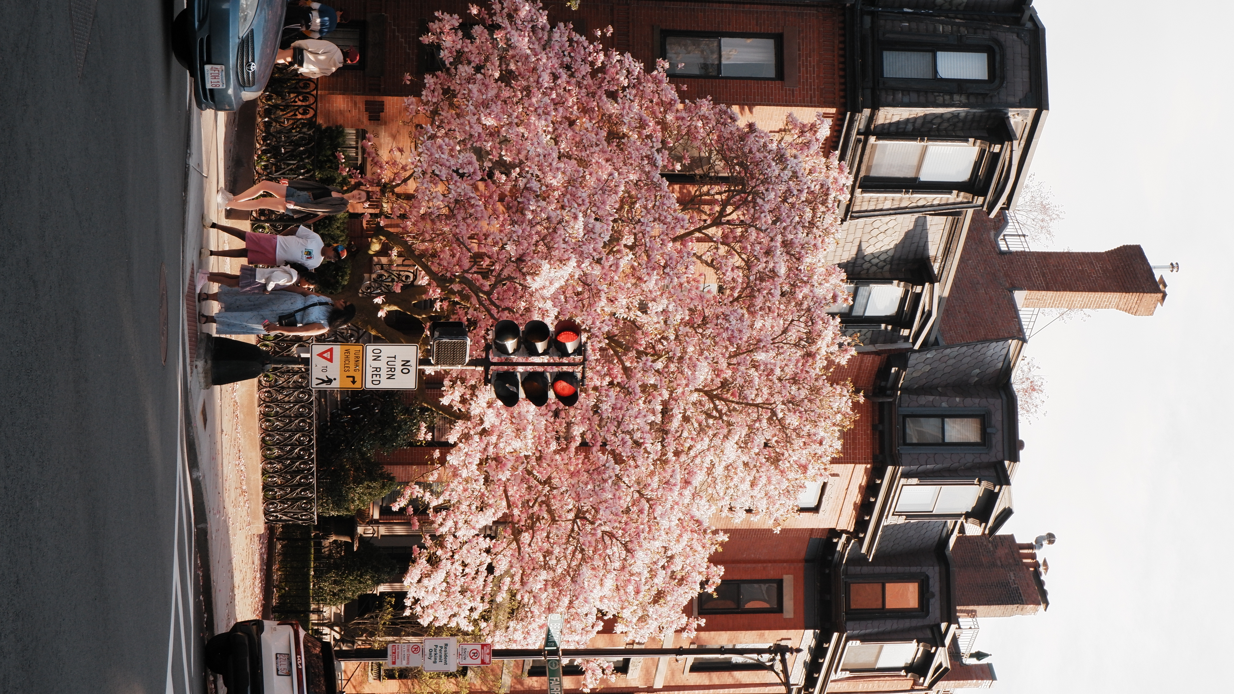 Fuji 5